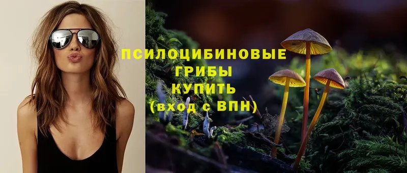 Галлюциногенные грибы Psilocybine cubensis  Мураши 